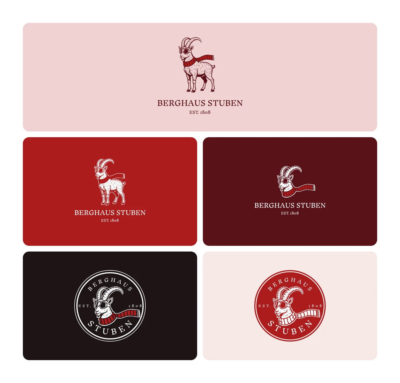 Logo versions on brand colors